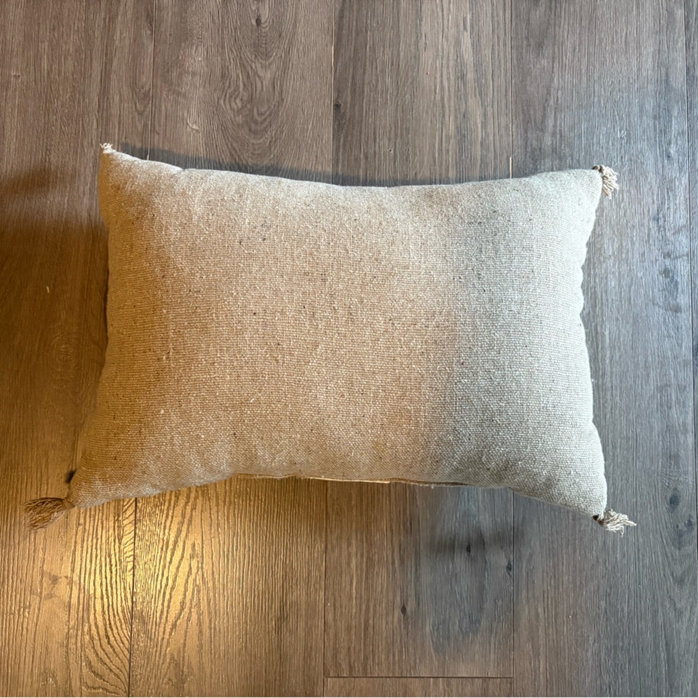 Target Throw pillow brown